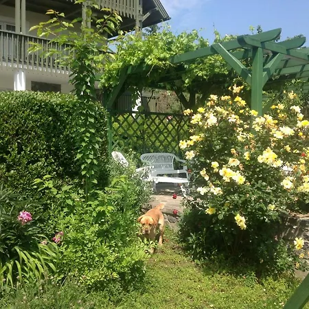 Apartment Strandkozeli Panoramas 4 Fos Apartman Badacsonytomajon Badacsonytomaj